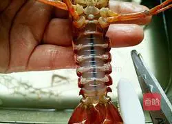 Illustration of how to cook crayfish 1