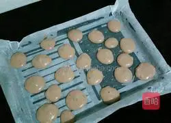 Camouflage Cream Cake Roll Recipe Illustration 11