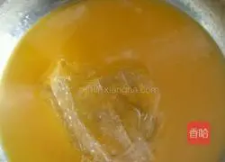 Mango Cheese Mousse Recipe Illustration 12