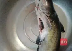 Illustration of how to grill Qingjiang fish in air fryer 1