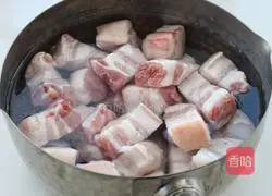 Illustration of braised pork and potato stew 2