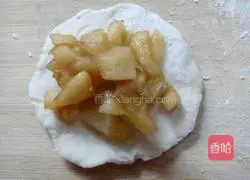 Apple Pie Recipe Illustration 8