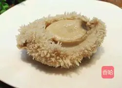 Australian abalone recipe illustration 6