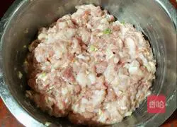 Illustration of how to make dry croquettes 3