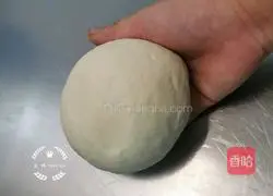 Chicken breast pizza recipe 1