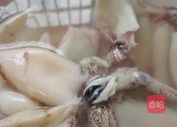 Sauce-fried baby squid Practice illustration 2