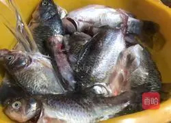 Illustration of home-style crispy bone fish 2