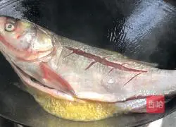 Illustration of how to cook whole fish with ginger 6