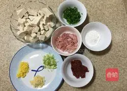 Authentic Sichuan Mapo Tofu Recipe Illustration 1