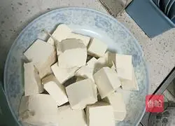 Illustration of Wang Ya's recipe for roasting tofu 2