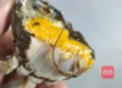 Illustration of how to make spicy hairy crabs 3