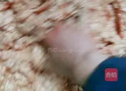 Illustration of how to make dry croquettes 3