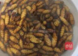 Illustration of how to make spicy stir-fried pupae 2