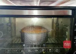 French whole egg sponge cake recipe 8