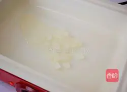 Illustration of Braised Spare Ribs 3