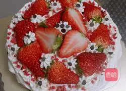 Chocolate Cream Cake Recipe Illustration 18