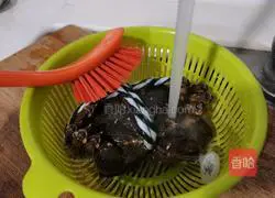 Illustration of steamed hairy crabs 2