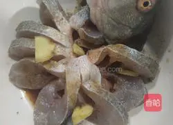 Illustration of how to make peacock fish open 2