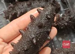 Illustration of how to cook sea cucumber, abalone and braised pork ribs 3