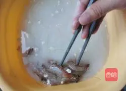 Illustration of how to cook boiled shrimp 3