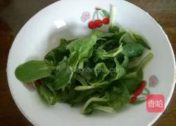 Illustration of Chongqing Lao Ma Handwriting 9