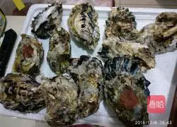 Illustration of how to make steamed oysters 2