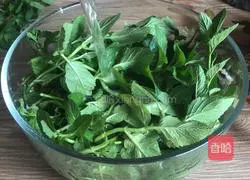 Mint Bass Illustration of how to do it 2