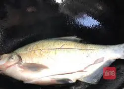 Illustration of how to stew Wuchang fish with pickled cabbage 5