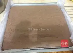 Cocoa Cream Cake Roll Recipe Illustration 14