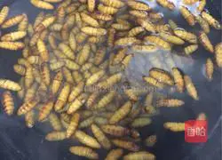 Illustration of Spicy Stir-fried Pupa 4