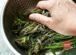 Illustration of how to make Chinese toon pickles 3