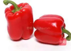 Illustration of braised pork ribs 3