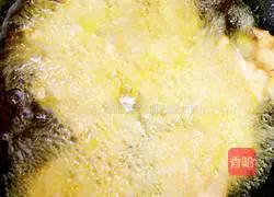 Authentic Illustration of Northeastern Pot Pork Recipes 11