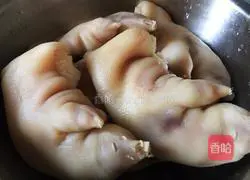 Illustration of roasted pig's trotters 3