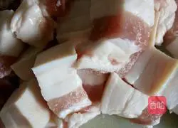 Braised Pork Recipe Illustration 4