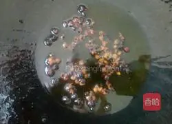 Illustrations of how to celebrate the New Year 9