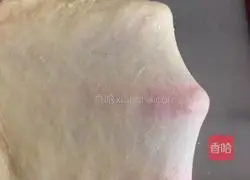 Illustration of how to make cinnamon rolls 1