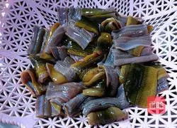 Illustration of salt and pepper eel back (home version) 1