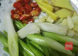 Roche Beer Duck Recipe Illustration 2