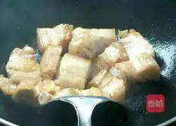 Illustration of Braised Pork and Stewed Winter Melon 6