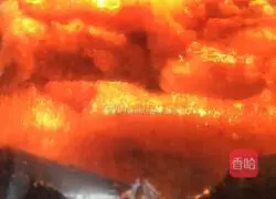 Illustration of roasted pig's trotters 14