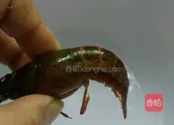 Flavoured lobster tail Practice illustration 2