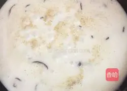 Cream Mushroom Soup Illustration 11