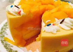 Mango Mousse Cake Recipe Illustration 18