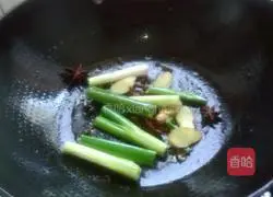 Illustration of how to make Sixi Meatballs 11