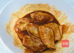 Illustration of grilled chicken wings 9