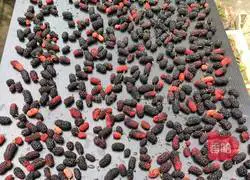 Illustration of how to make mulberry wine 3