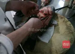 Golden Lion Fish Recipe Illustration 3