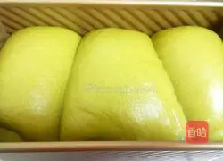 Spinach toast bread recipe 15