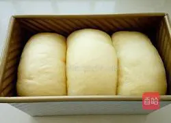 Milk toast recipe 12